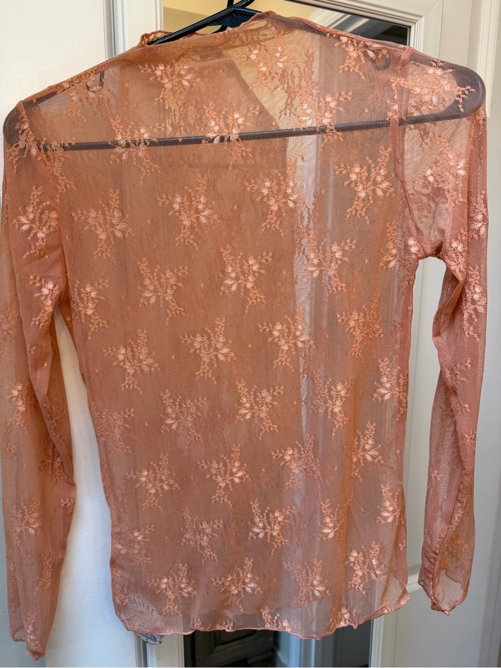 Mesh Floral Lace Long-Sleeve Top - Peach